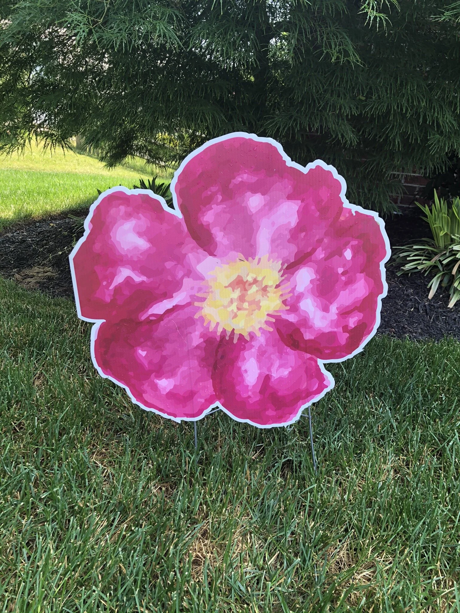 pink watercolor flower