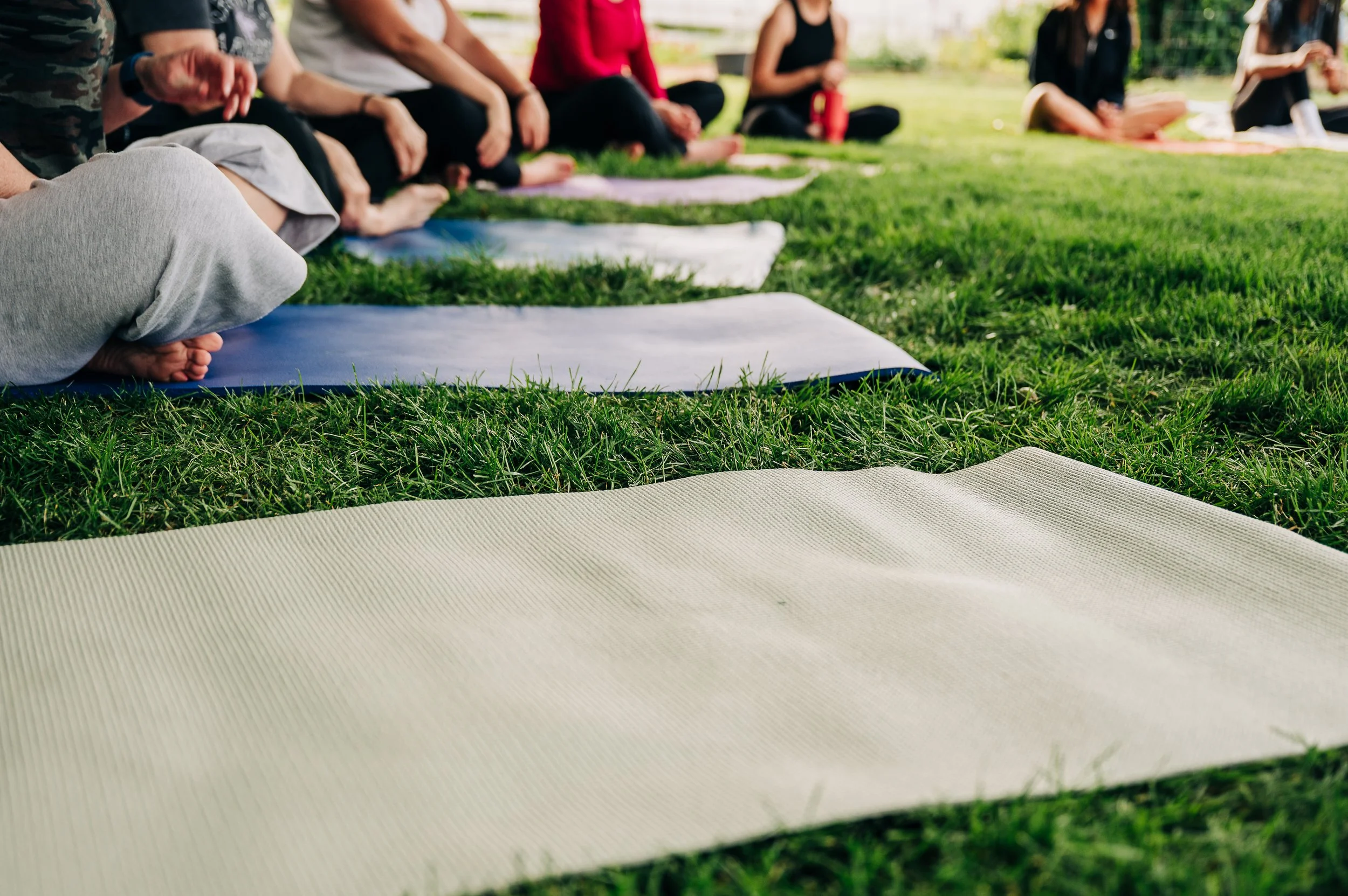 Pick and Pose: Yoga + U-Pick, June 22