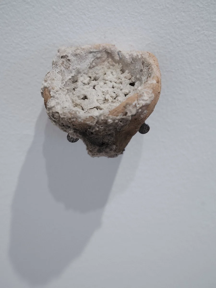 _DSF9573-web.jpg