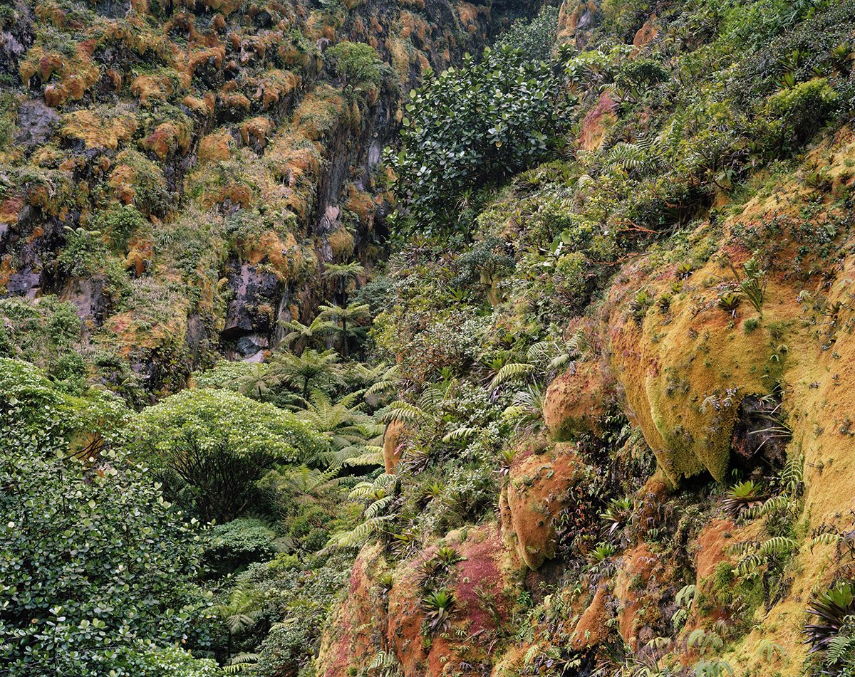 Éboulement Faujas, la Soufrière, Guadeloupe