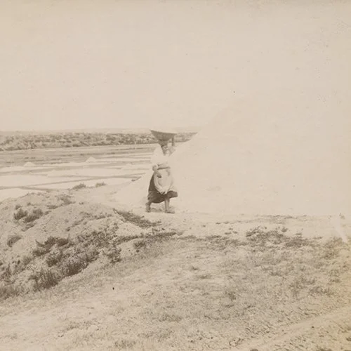 Premières photographies en Pays de Guérande