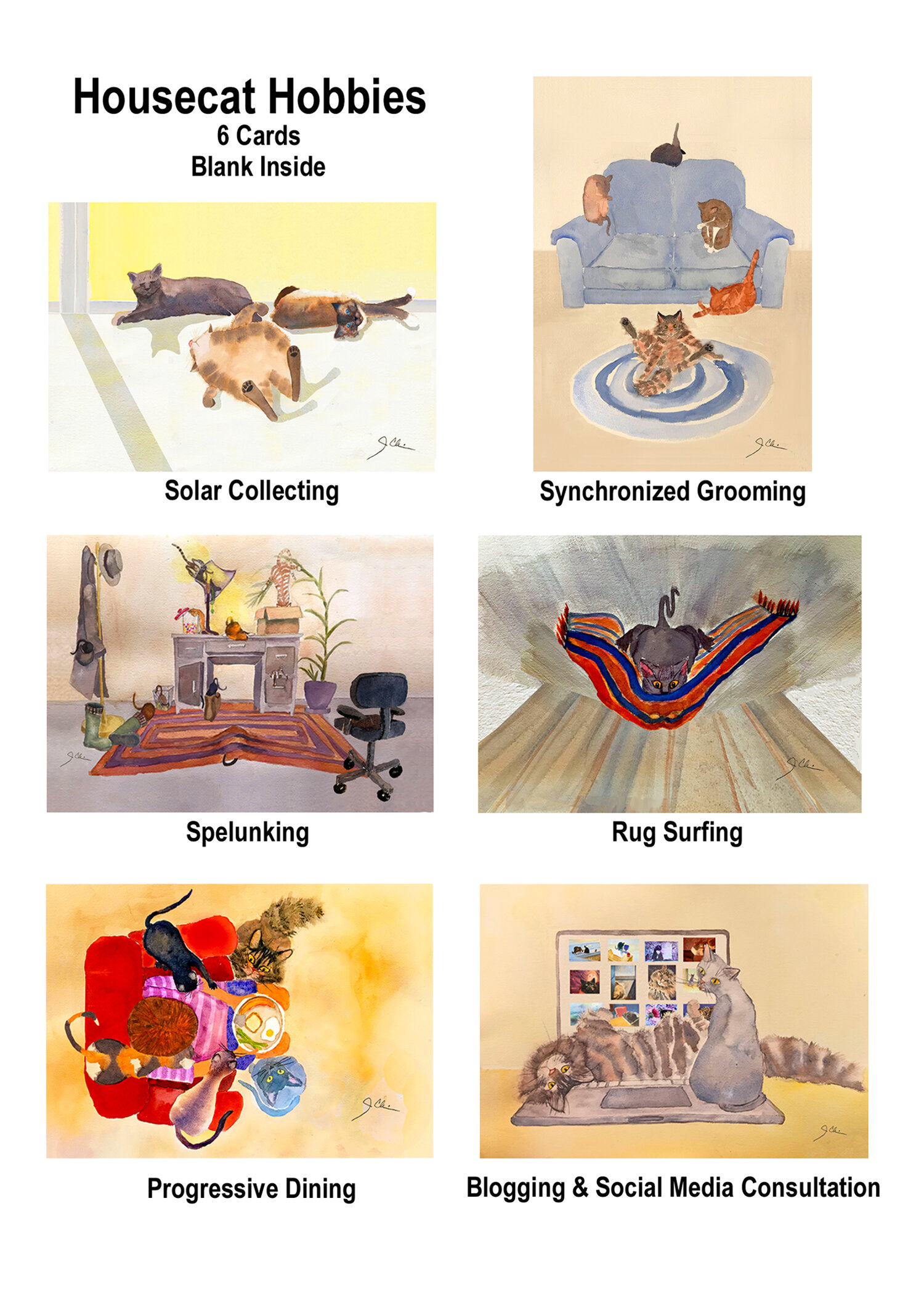 Housecat Hobbies 6 Pack