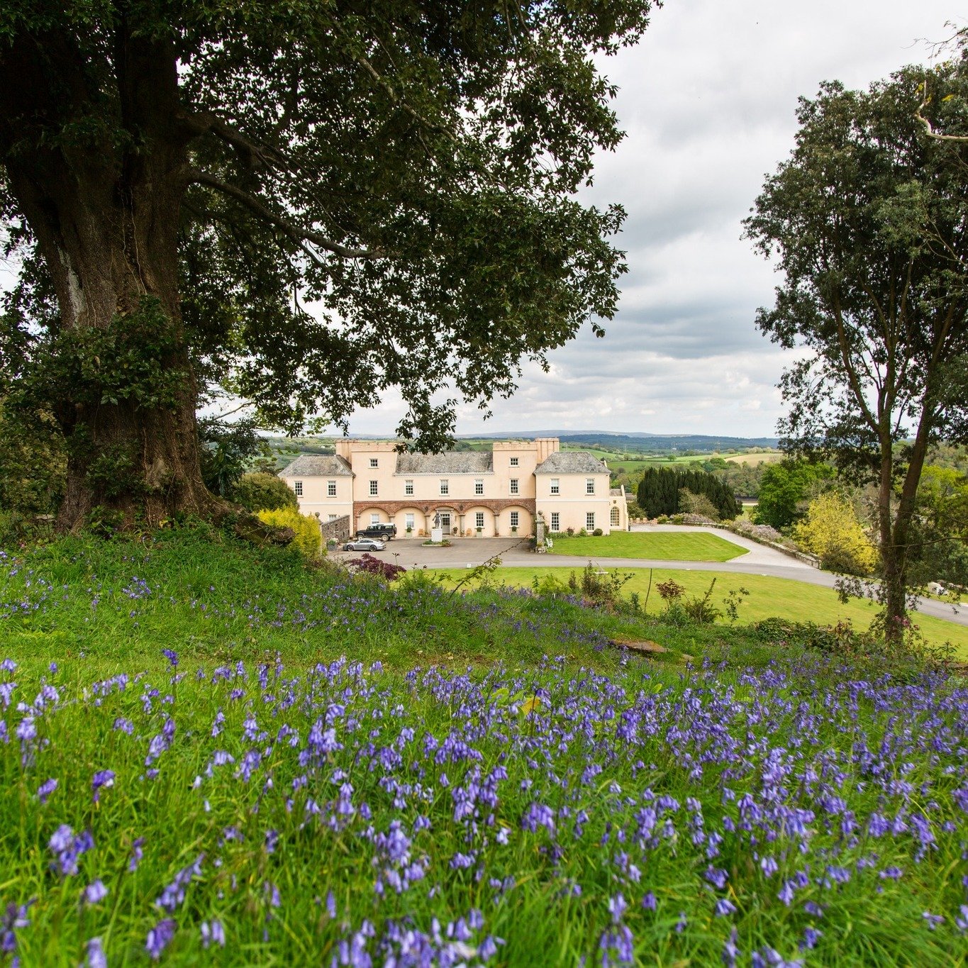 Maintaining 55 acres of historic beauty comes with its challenges...

While we're on the lookout for a new senior gardener, we're excited to kickstart our garden volunteer programme!

We invite you to join us on Tuesday 30th April, from 9am until 12 