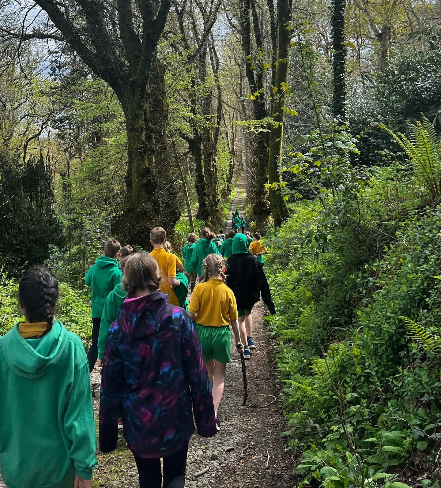 Welcoming young explorers...

Our woodland gardens have been filled with laughter and lively chatter recently as we have had the pleasure of welcoming children from local primary schools to help us with our estate bird survey!

Guided by experts Davi