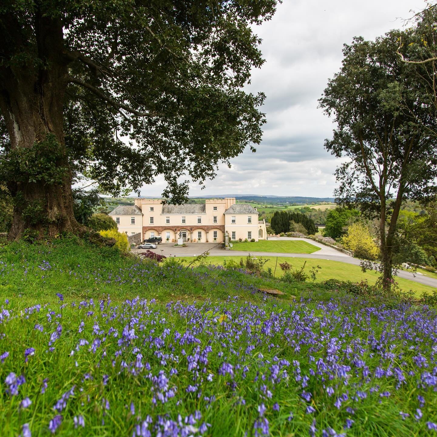 Far more breathtaking in person...

The gardens have been transforming everyday over the last few weeks filling the gardens with beautiful scents and colours!

We invite you to join us for our last Spring Garden Open Day on Sunday 19th May to take in