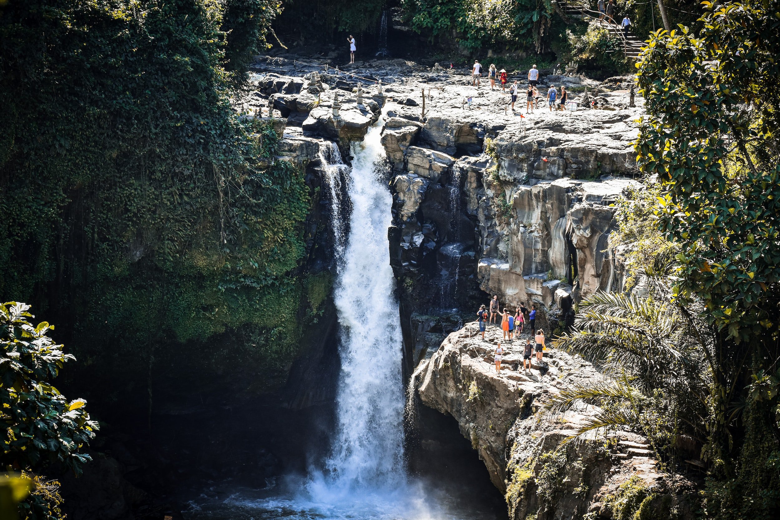 unsplash-image-cWEkGVGwRDo.jpg