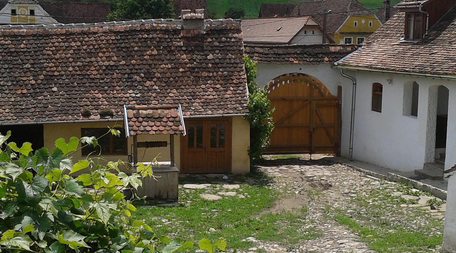 Romania - 2026 Crit.jpg