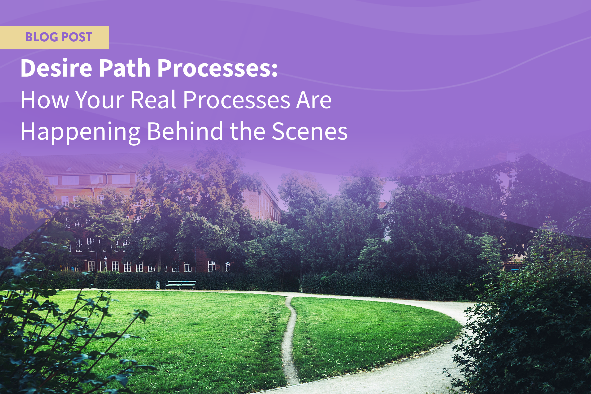 Desire Path Processes: How Your Real Processes Are Happening Behind the Scenes