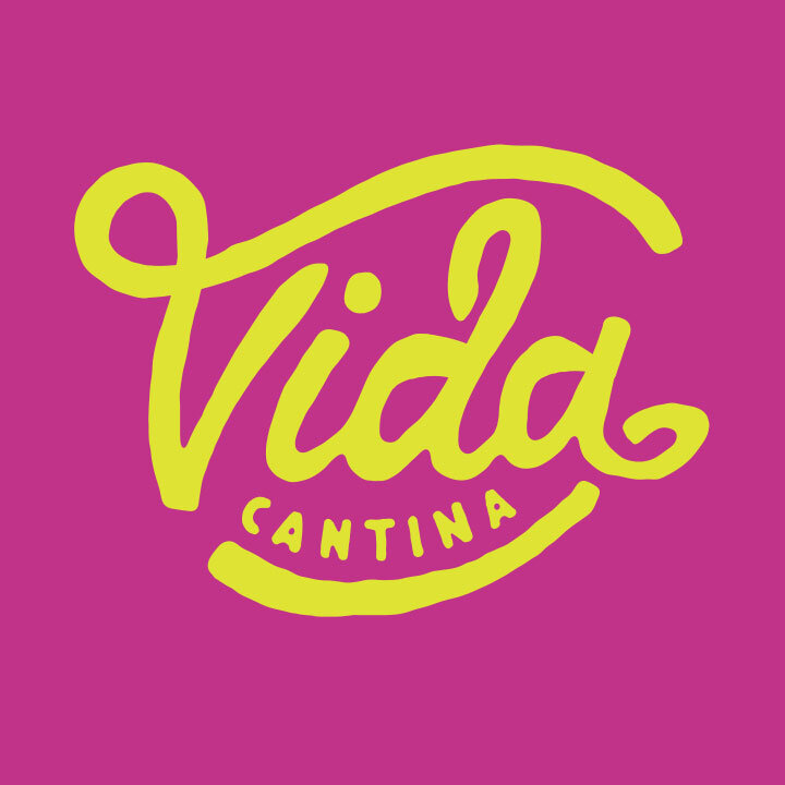 vida logo