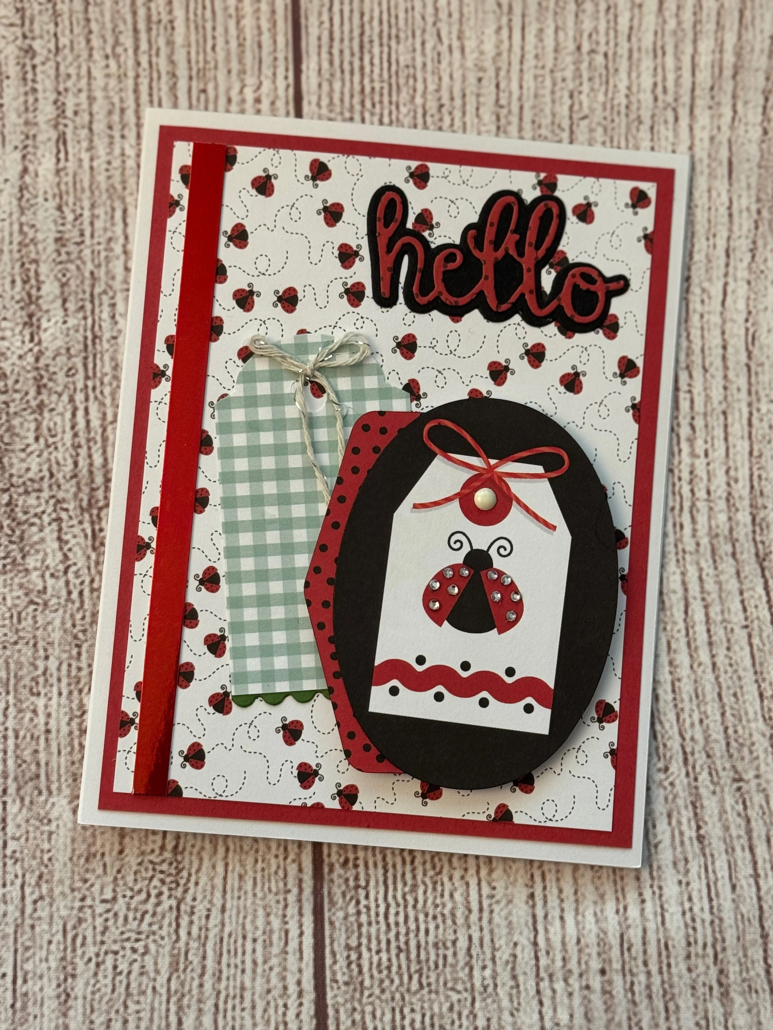 Hello Lady Bug