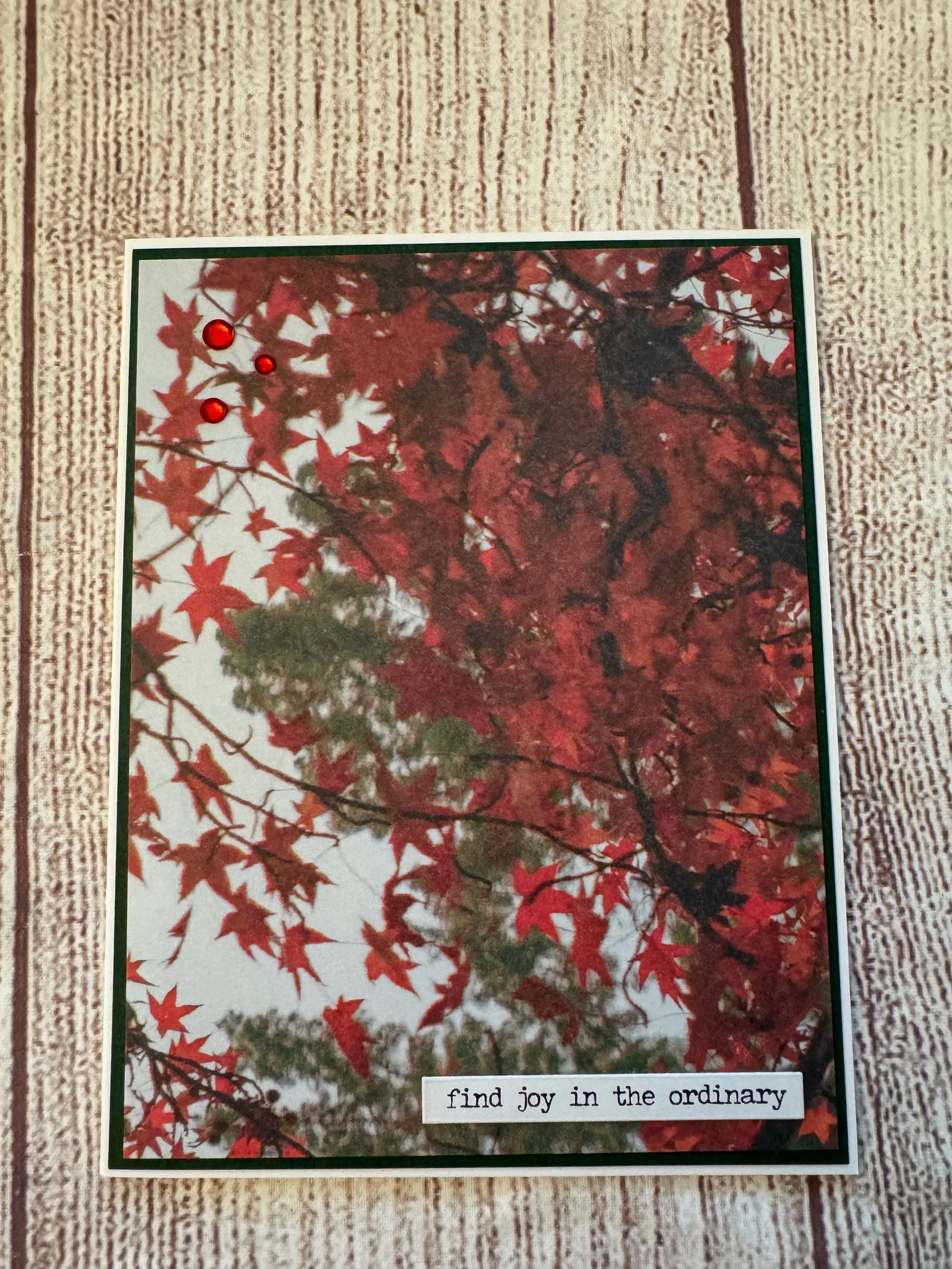 IMG_1241.jpeg