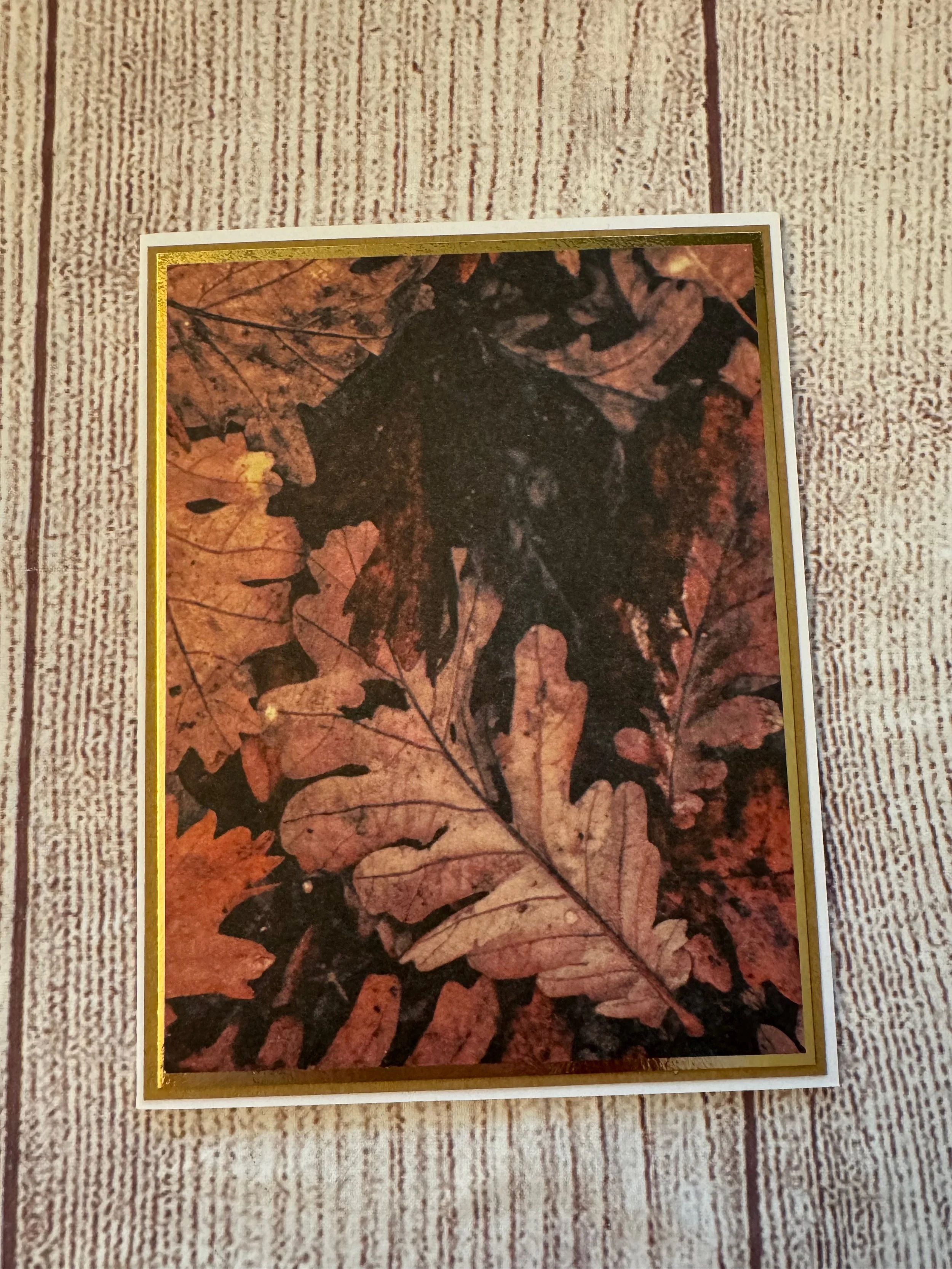 IMG_1234.jpeg