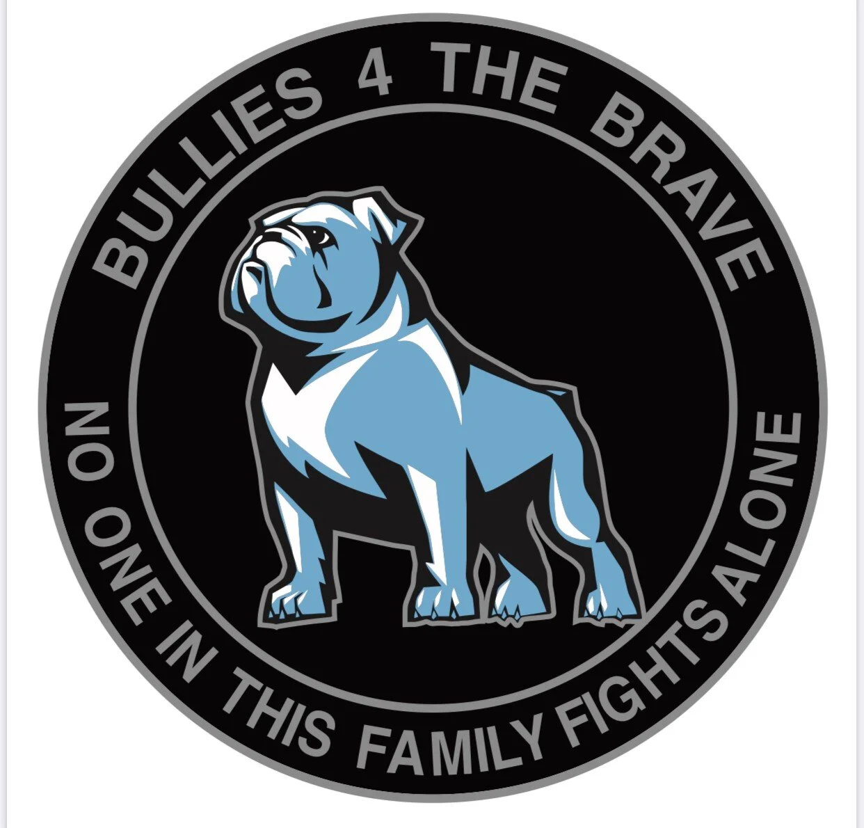 Our Story — Bullies 4 The Brave