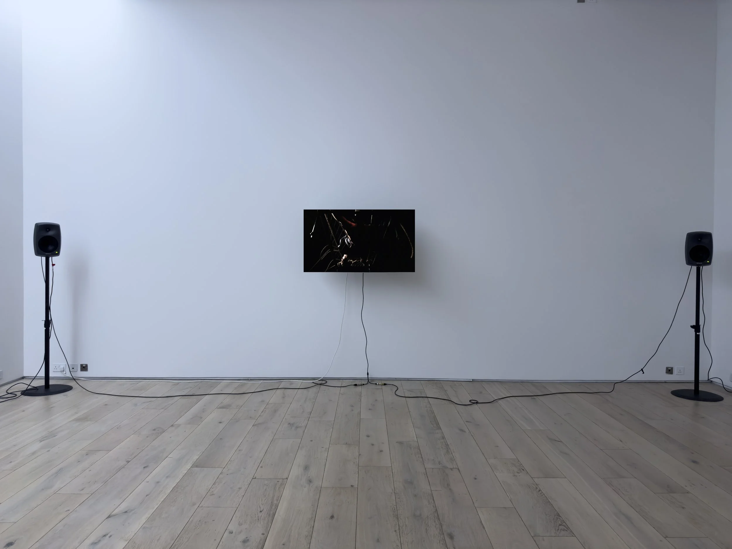 ERGIN ÇAVUŞOĞLU / PALMA GIOVANE (2024) / HATTON GALLERY (2024)