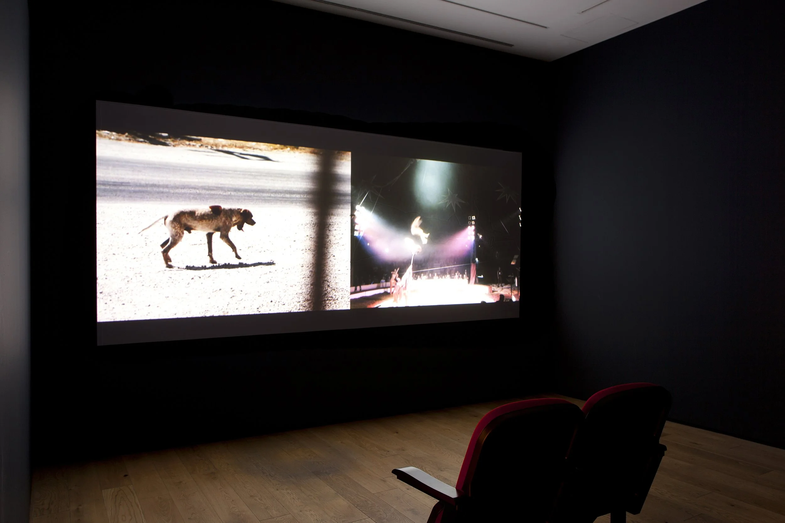 Ergin Çavuşoğlu 011.jpg