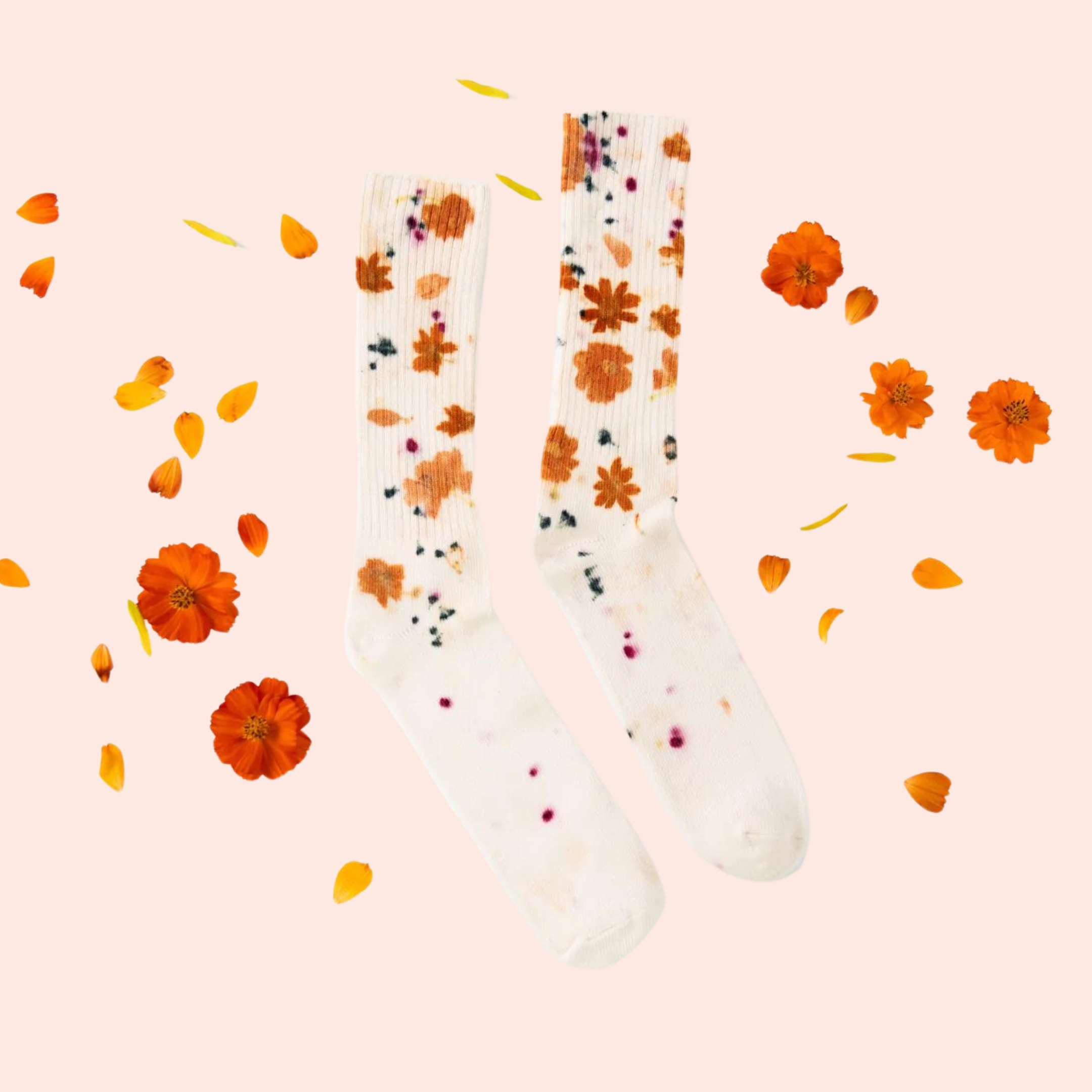 Black Floral Lace Socks, Milano Statement Socks for Women, Sheer Socks,  Women's Ankle Socks, Beaded