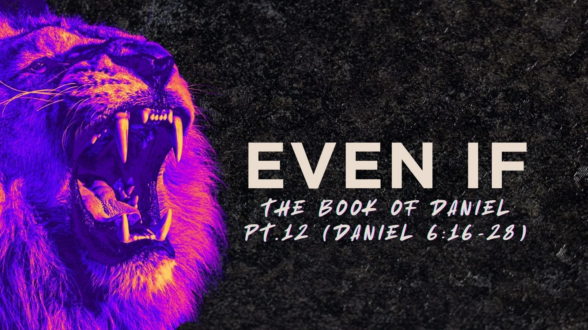 Daniel 6:16-28 (THROWN TO LIONS)