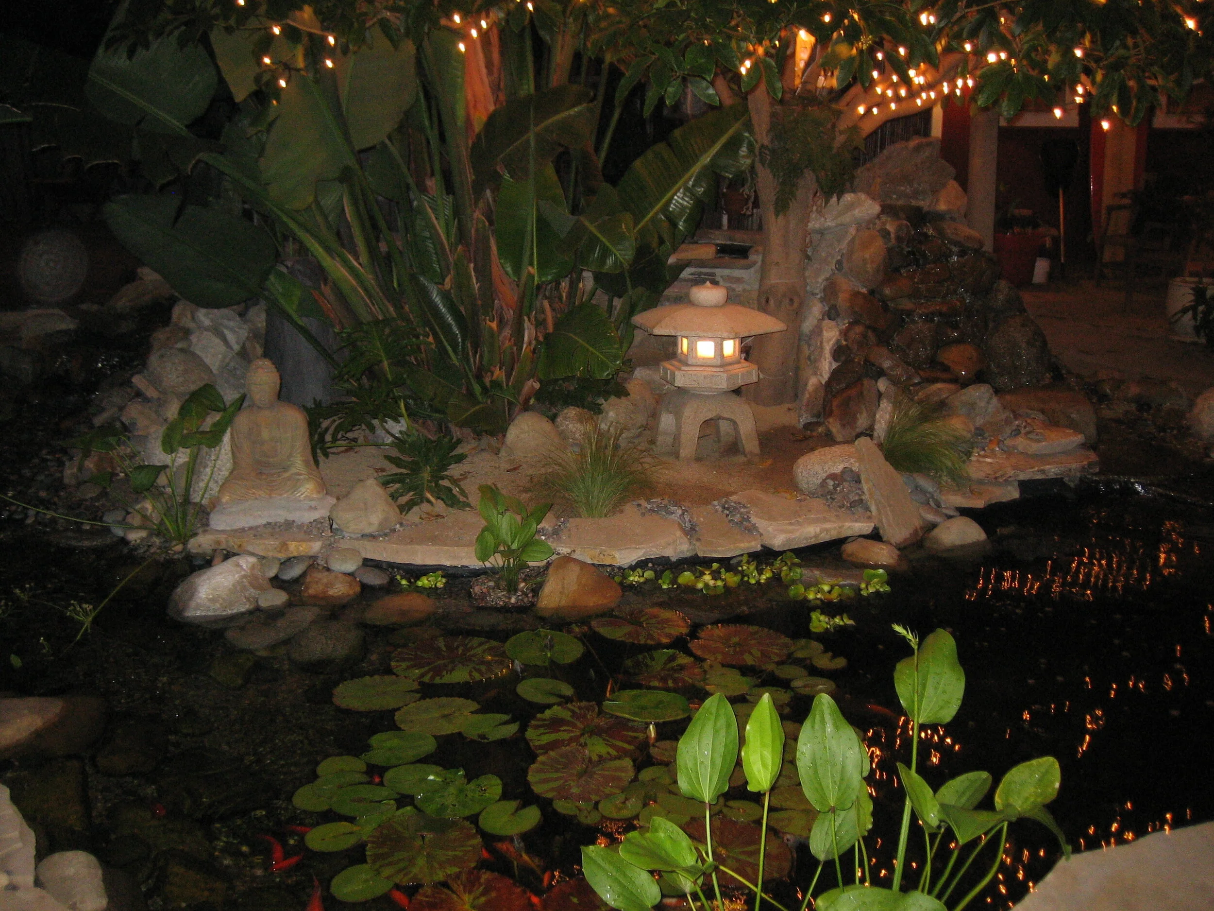 Zen Koi Pond