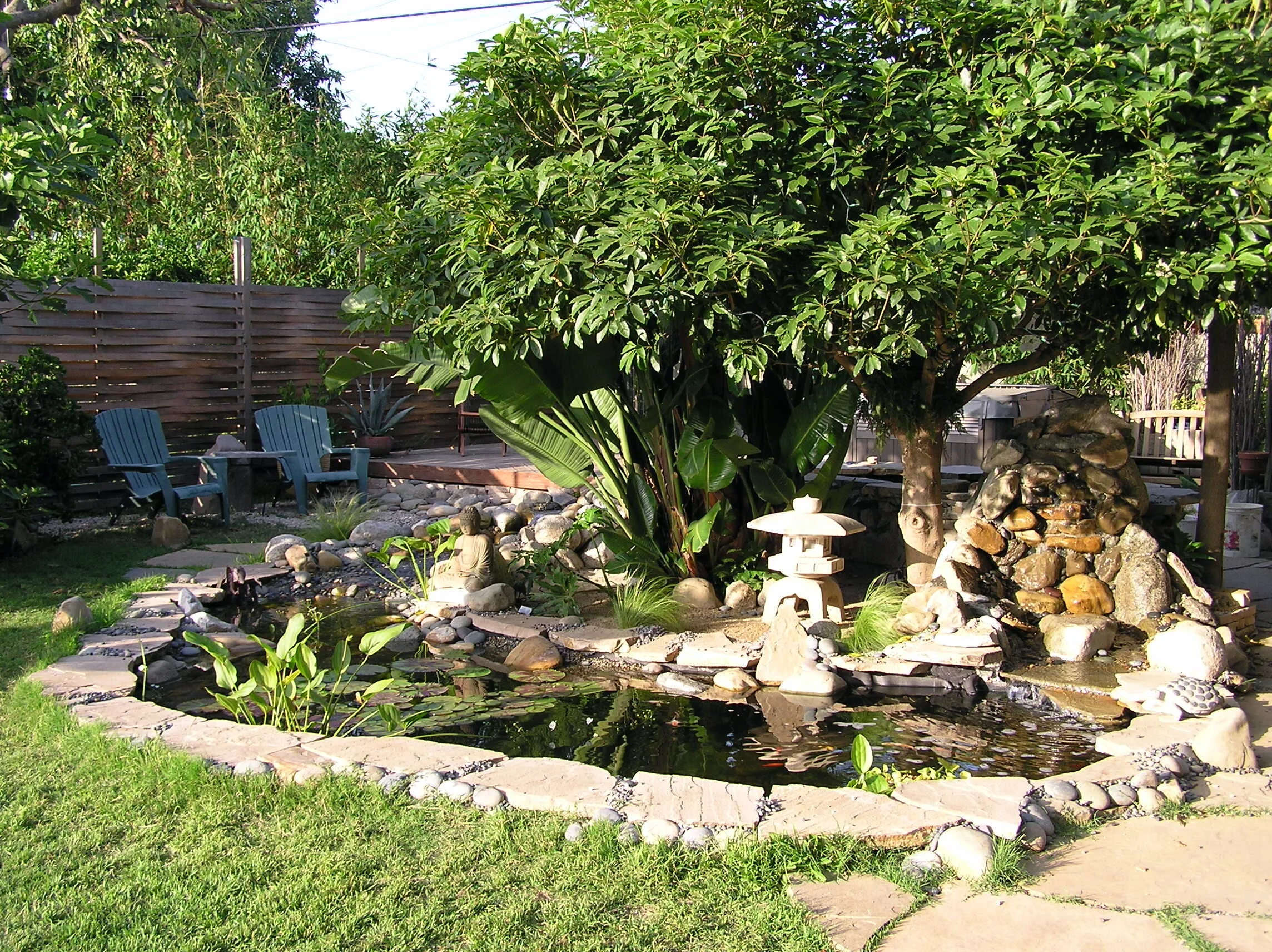Zen Koi Pond