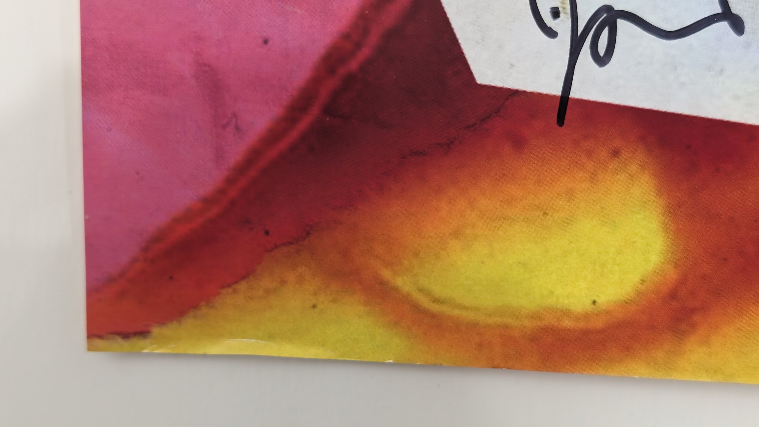 Jamie Reid vs Mcdonald's I'm lovin' it I'm hatin' overlaid serigraph on colour poster signed limited edition
