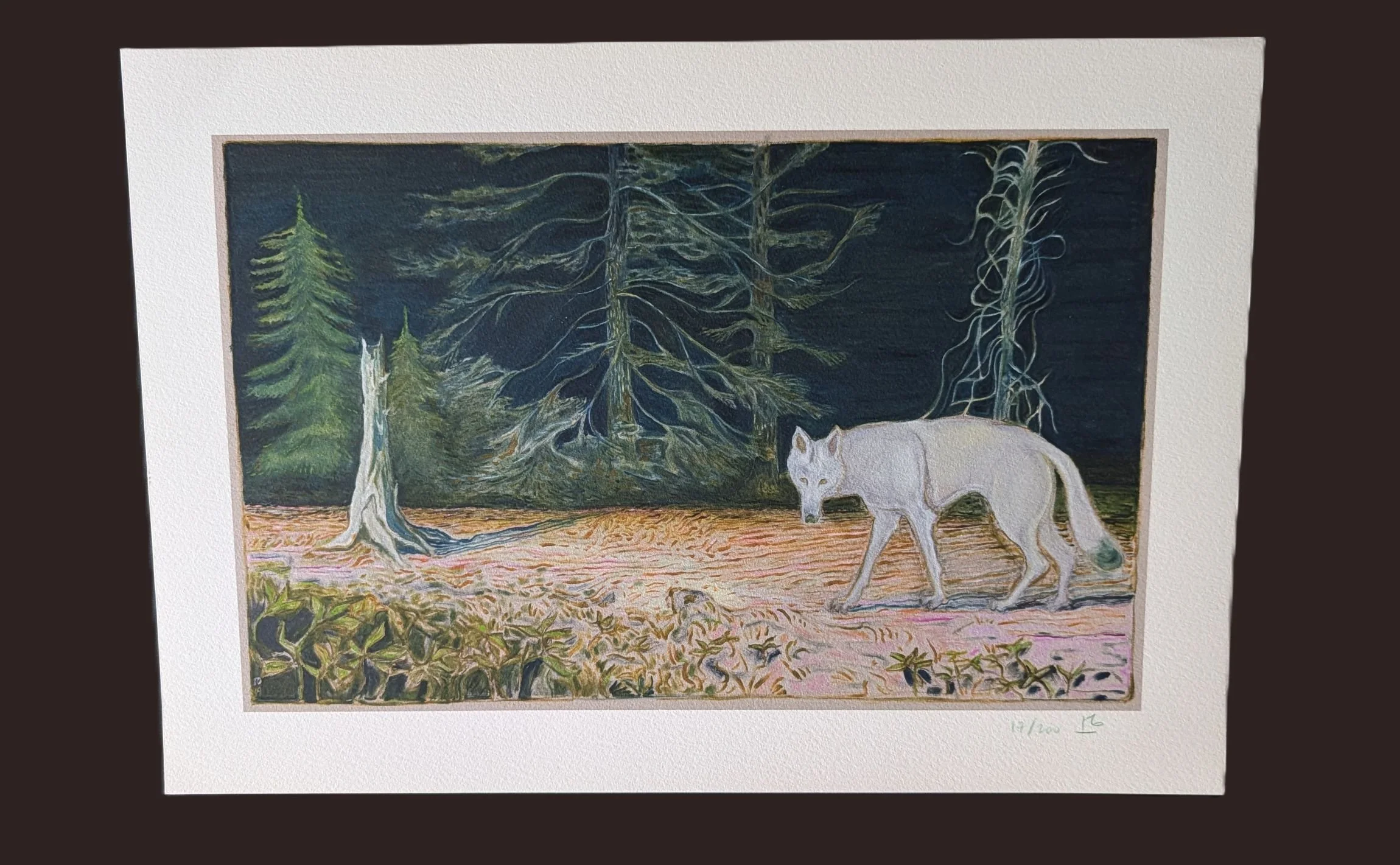 billy-childish-white-wolf-art-print.jpg
