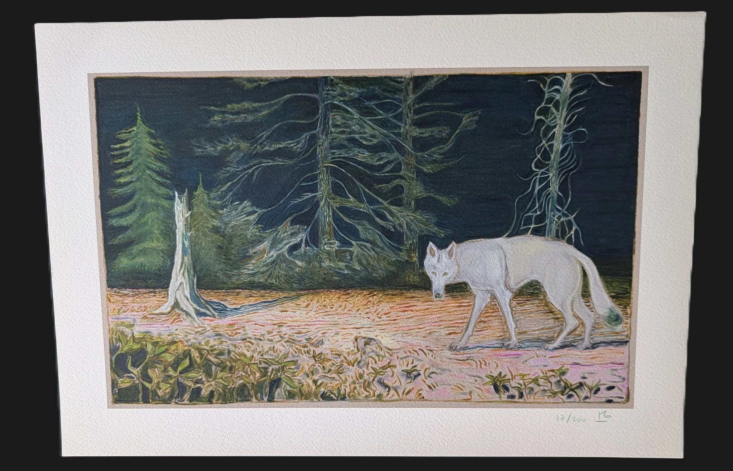 billy-chidish-white-wolf-archival-art-giclee.jpg