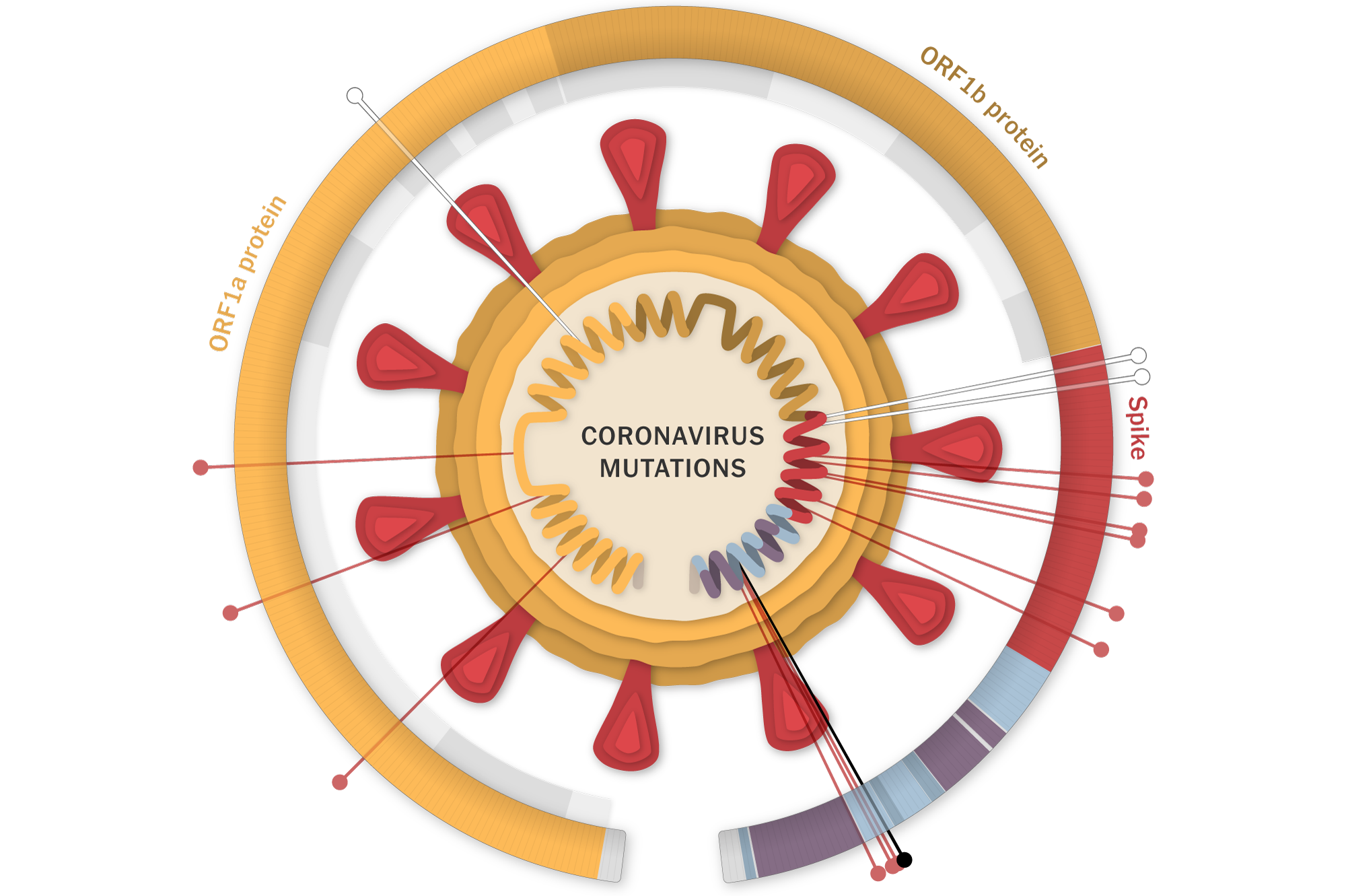 Коронавирус. New Covid variant. Covid-19. Coronavirus Mutation tracking.