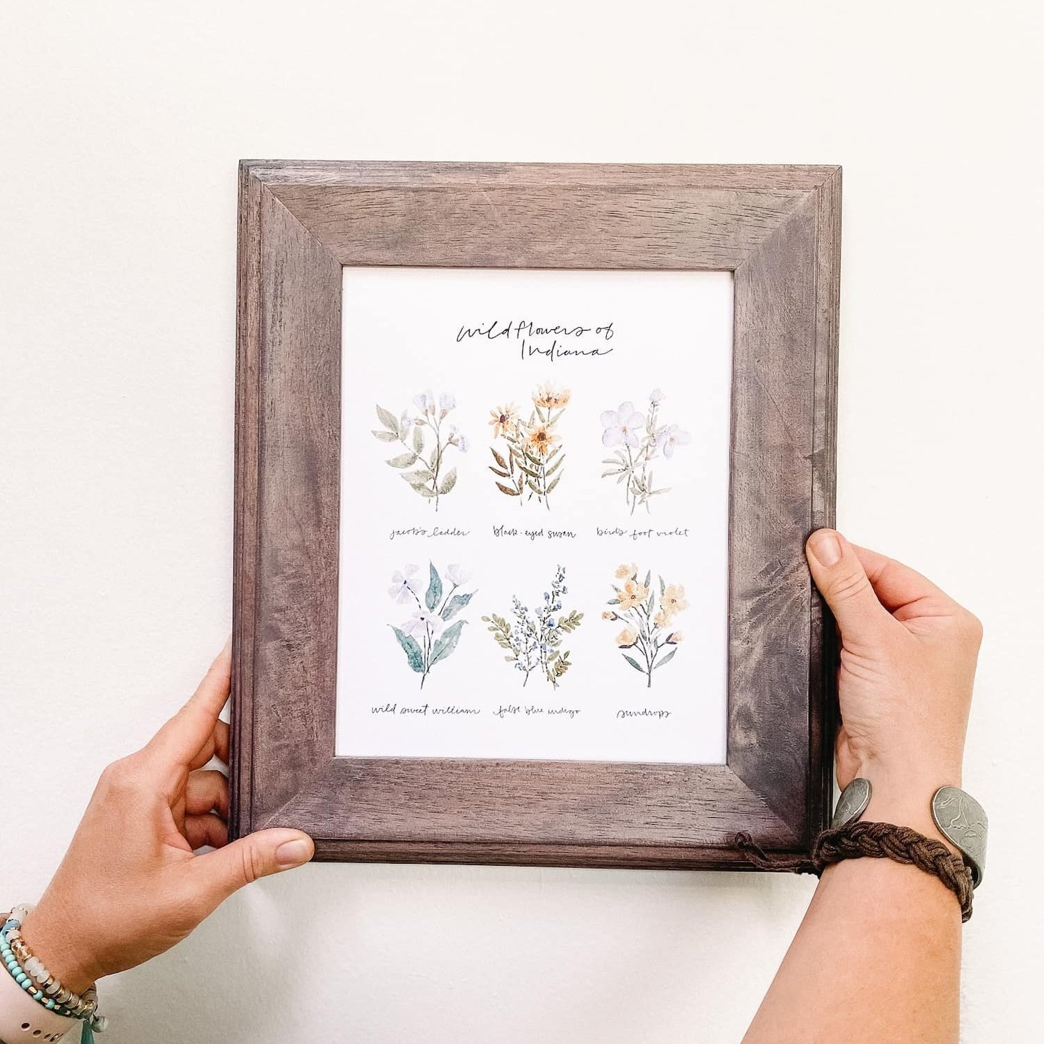 Indiana Wildflowers Art Print framed — handmade Indiana teacher appreciation gift by Indiana artist Jess