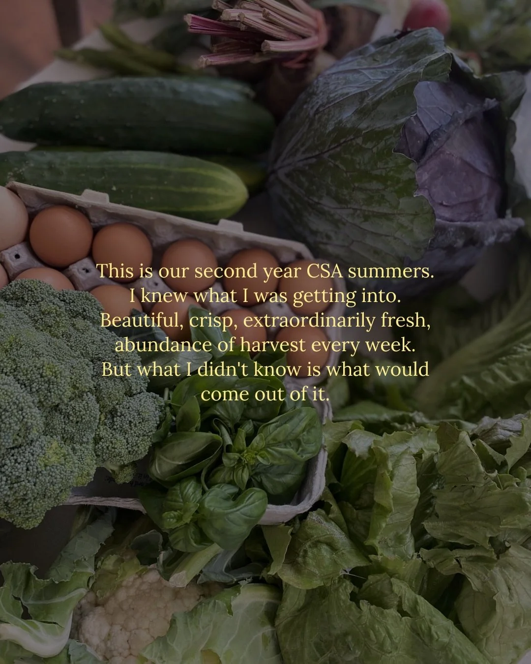 This is our second year of CSA. A community-supported agriculture subscription&mdash;fresh produce, picked up every Friday, straight from a local farm.

Dozens of zucchinis and pan pans, dinosaur kale in quantities I&rsquo;m still working through. He