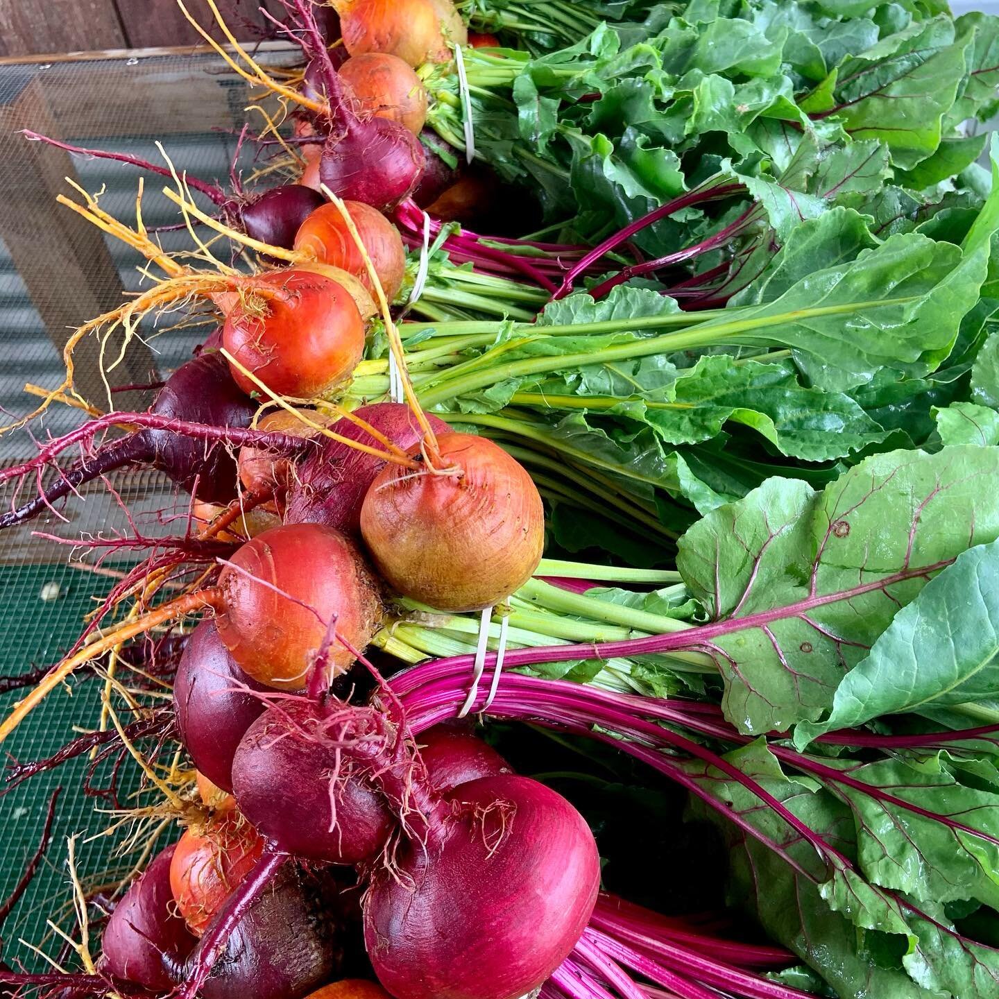 Our Saturday farm drive-thru is open tomorrow! CSA bags will be loaded with beautiful beets plus other fresh harvested produce. Side items are available including beautiful sunflowers, freshly baked naturally leavened sourdough bread by @chinitaspies