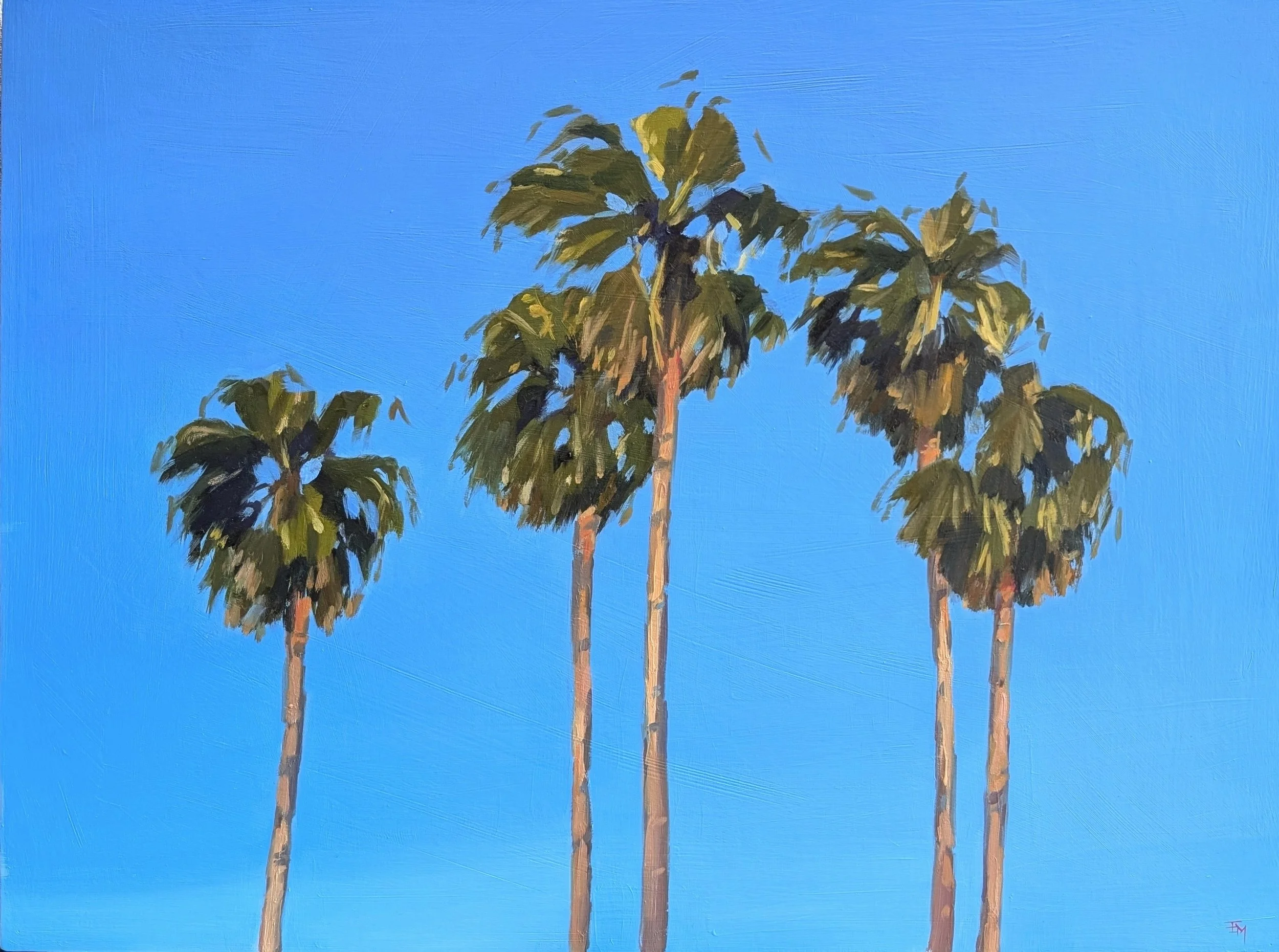 'Spanish Palms' - oil on board, 46x61cm