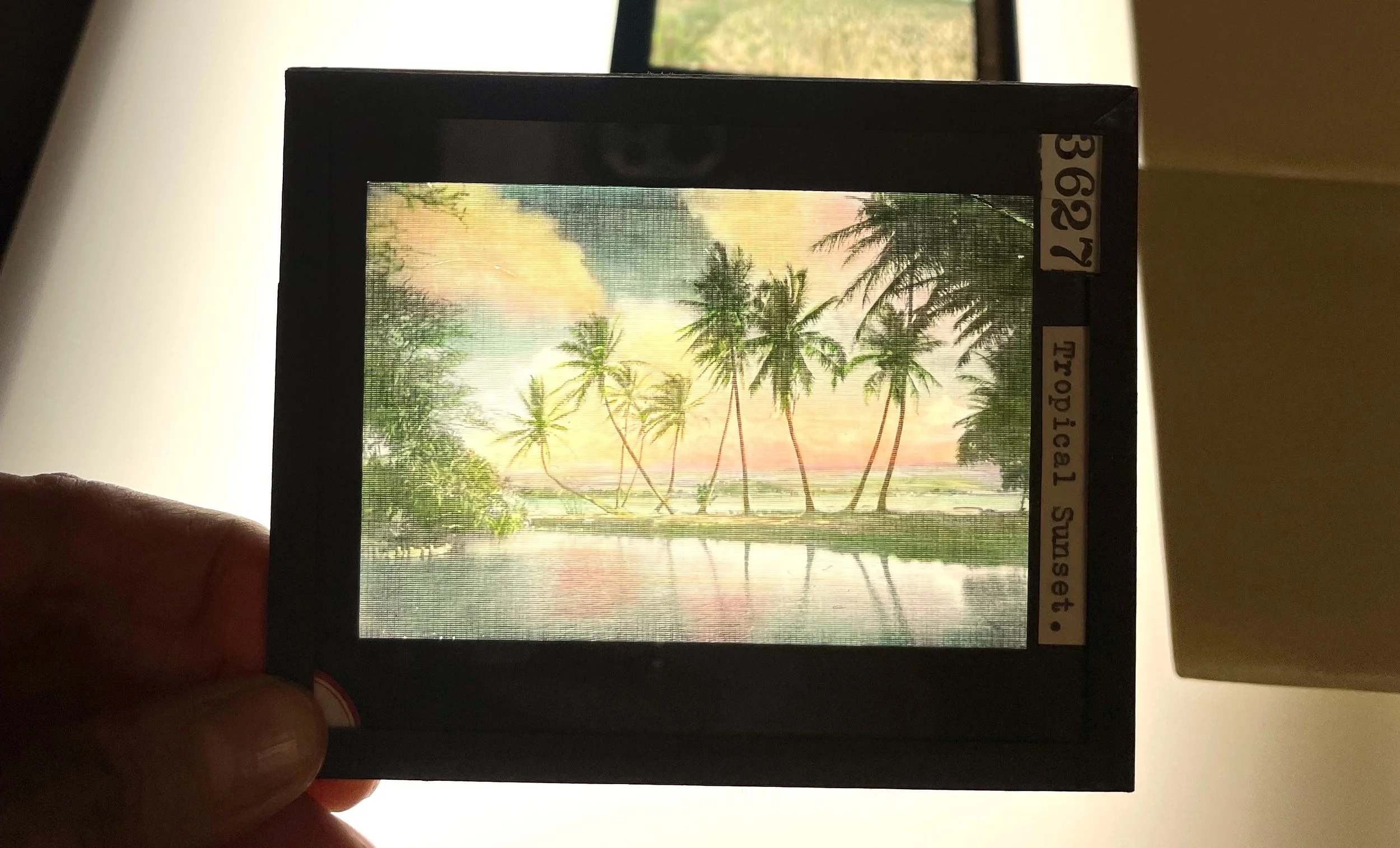 Tropical Machines