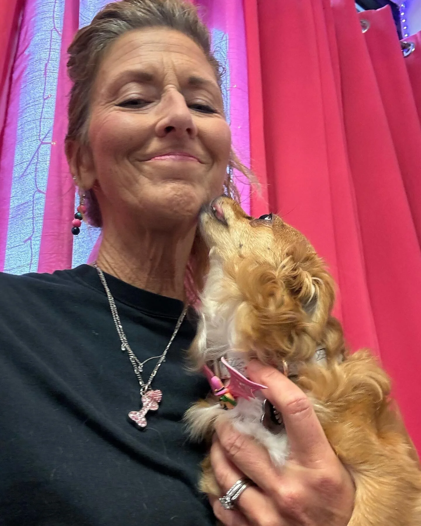 Getting a thank you kiss from Dakota Rose.  There is nothing more satisfying then when a pup can leave the Spa Calm,Confident, and Comfortable.  ##chihuahua  #spaday #dogspa #dogsoffallschurch #fallschurchvirginia #ilovechihuahua #granddog