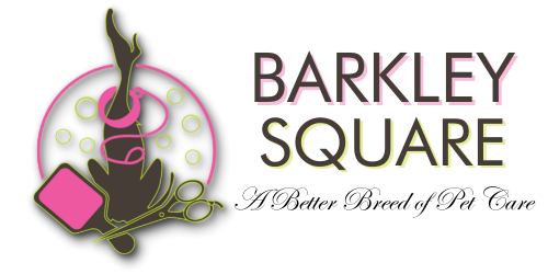 Dog Grooming Pet Sitting | Barkley Square