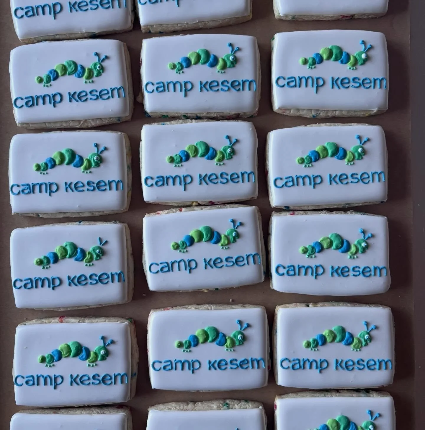 Okay, so I did remember to take a pic of the finished products of the cookies that I posted the other day!

These along with a dozen of our galactic brownies went to Camp Kesem&rsquo;s annual fundraising gala. 

 #decoratedcookies #burlington #vermon