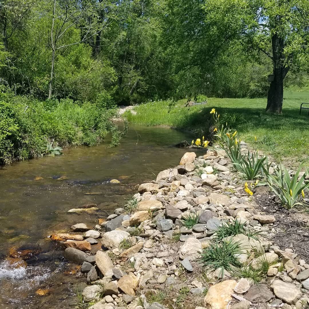 Lovelace creek borders the entire length of our property. The perfect place to relax and cool your feet in the summer. .
.
.
#LovelaceCreek #HaysNC #stonemountain #ncweddings #ncwedding #mountainwedding #microwedding #stream #mountainstream