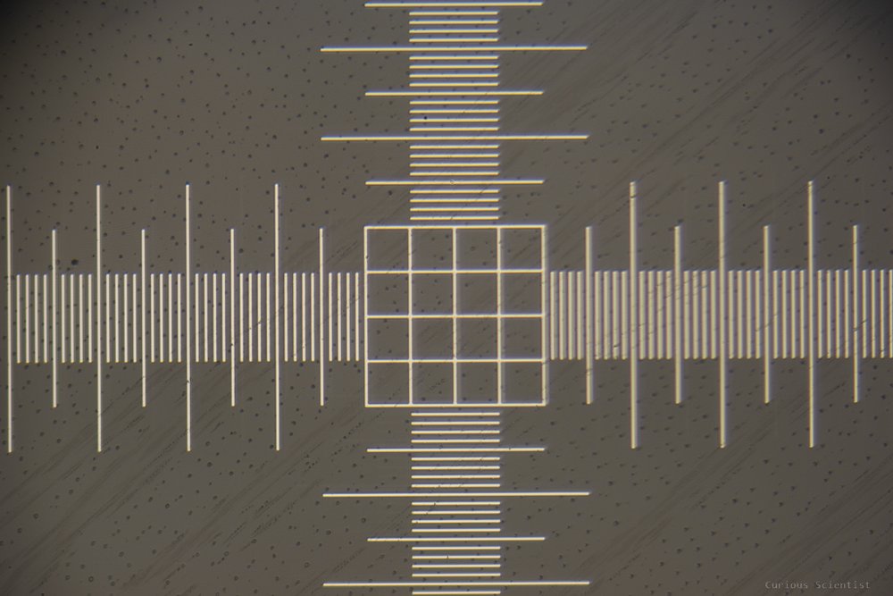 0.01 mm / div scale with the T2-NEX eyepiece projection adapter