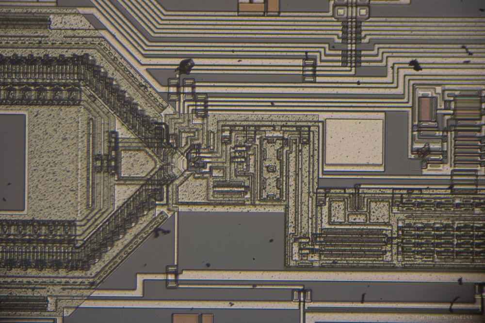 A silicone die with the T2-NEX eyepiece projection adapter