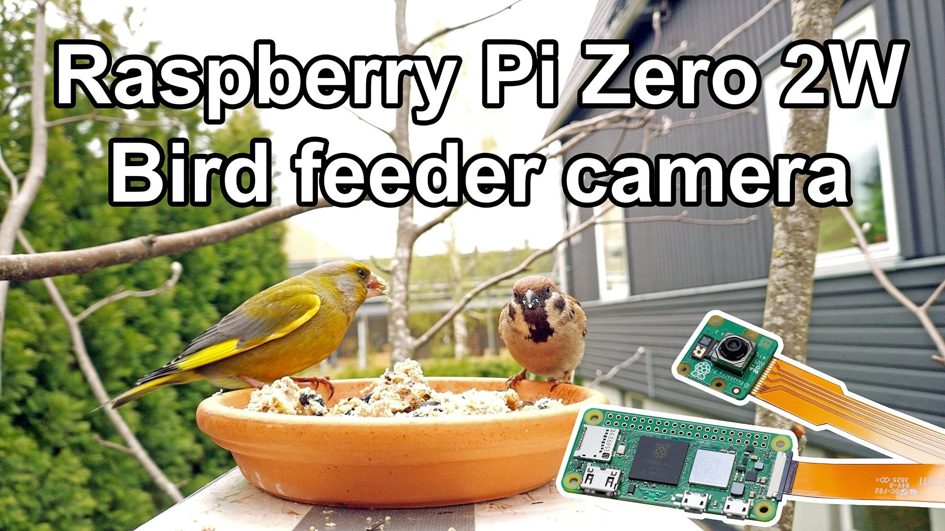 Bird camera - Raspberry Pi Zero 2 W