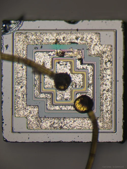Silicon dies — Curious Scientist