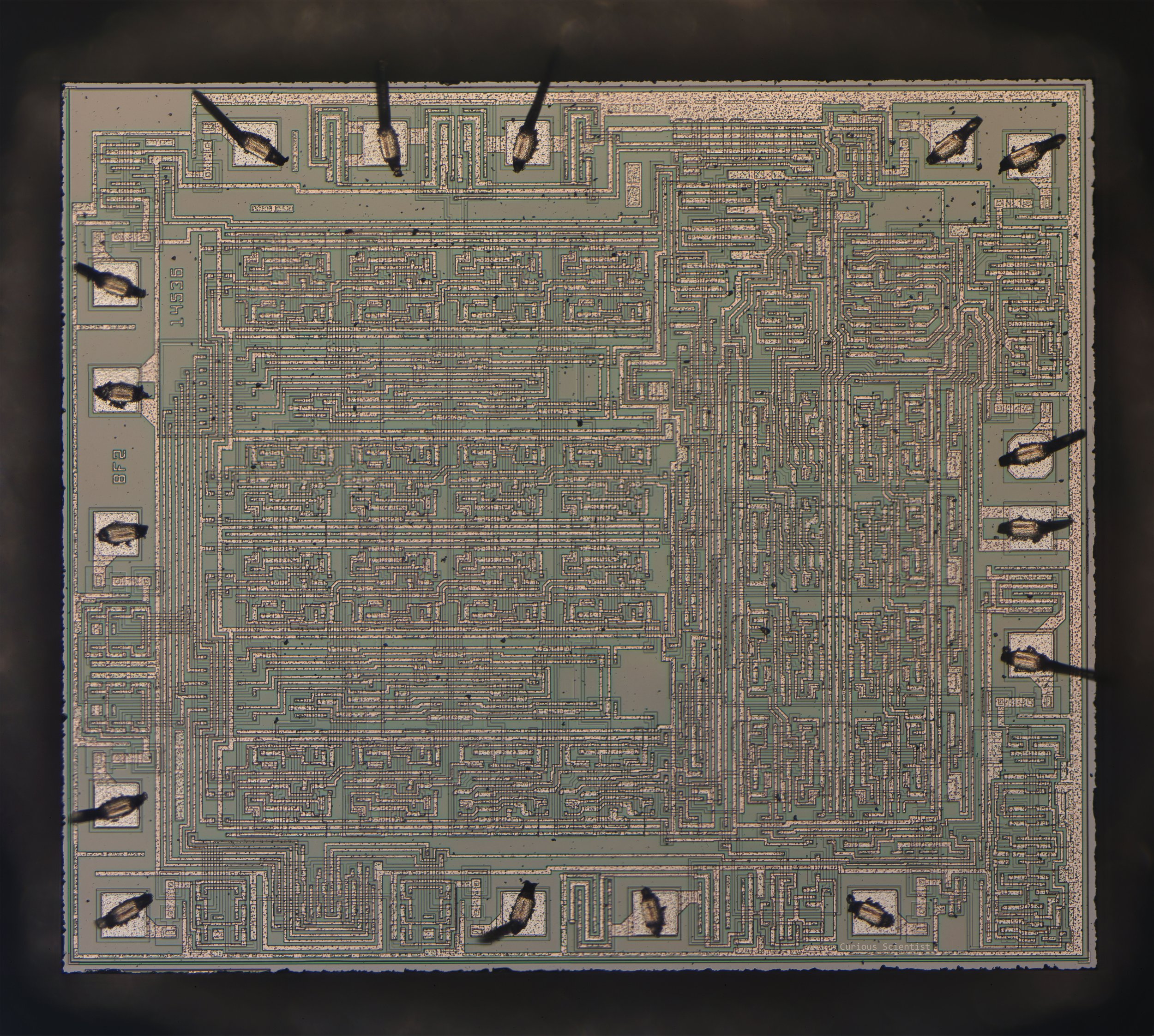 Silicon dies — Curious Scientist