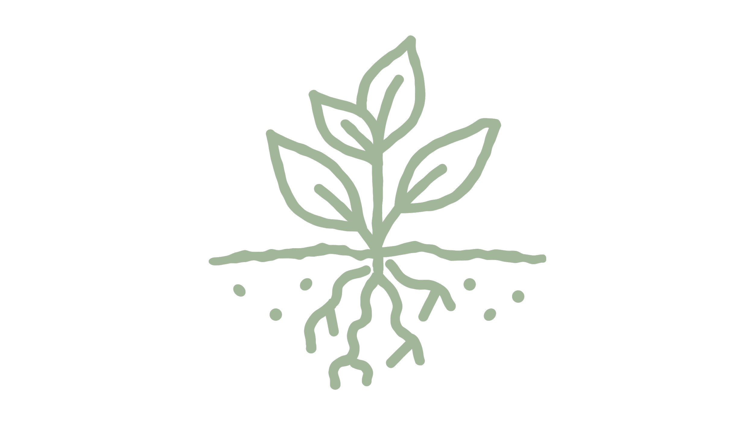 Rusty Lyonia (Lyonia ferruginea)