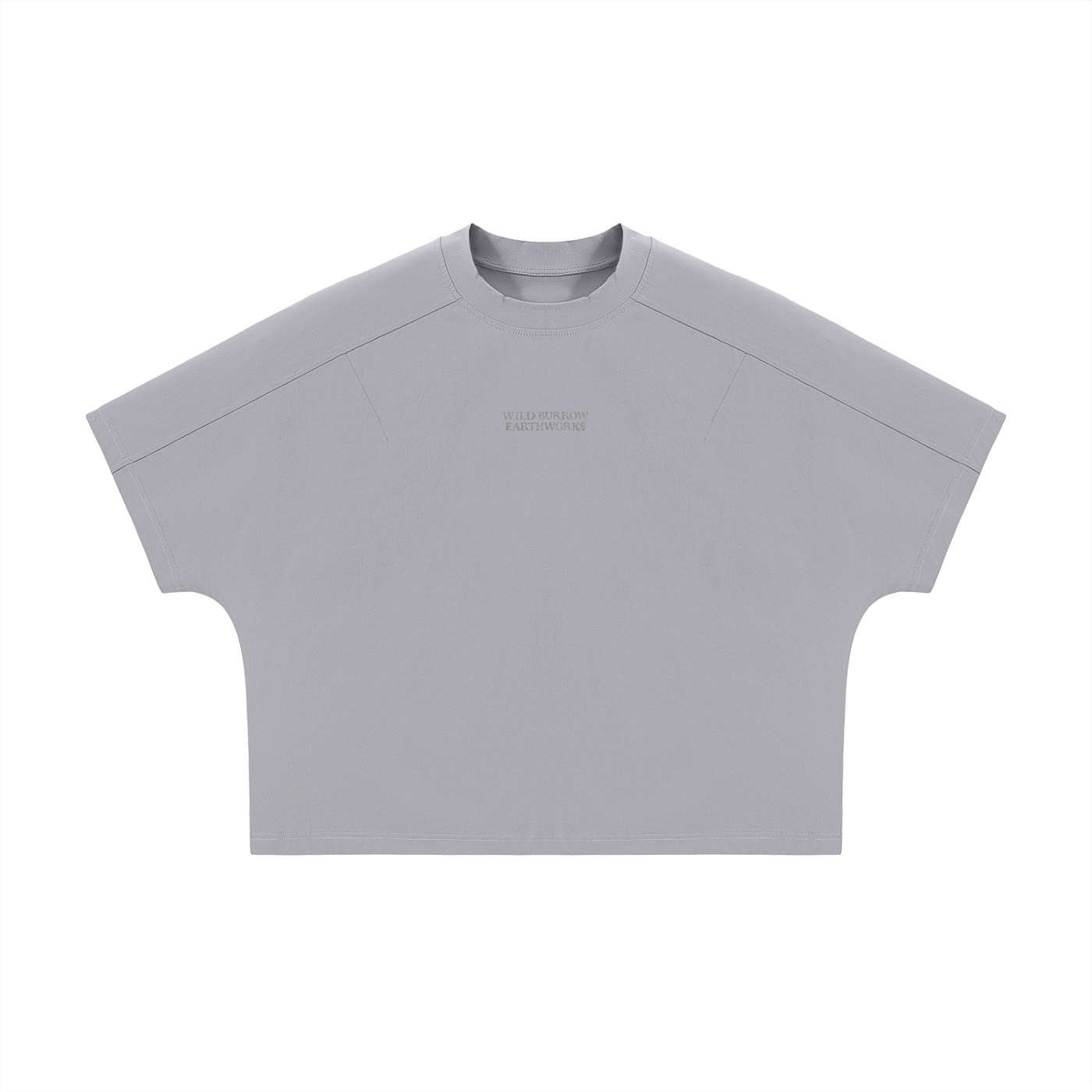 Unisex Boxy Tonal Paneling Gar T-Shirt