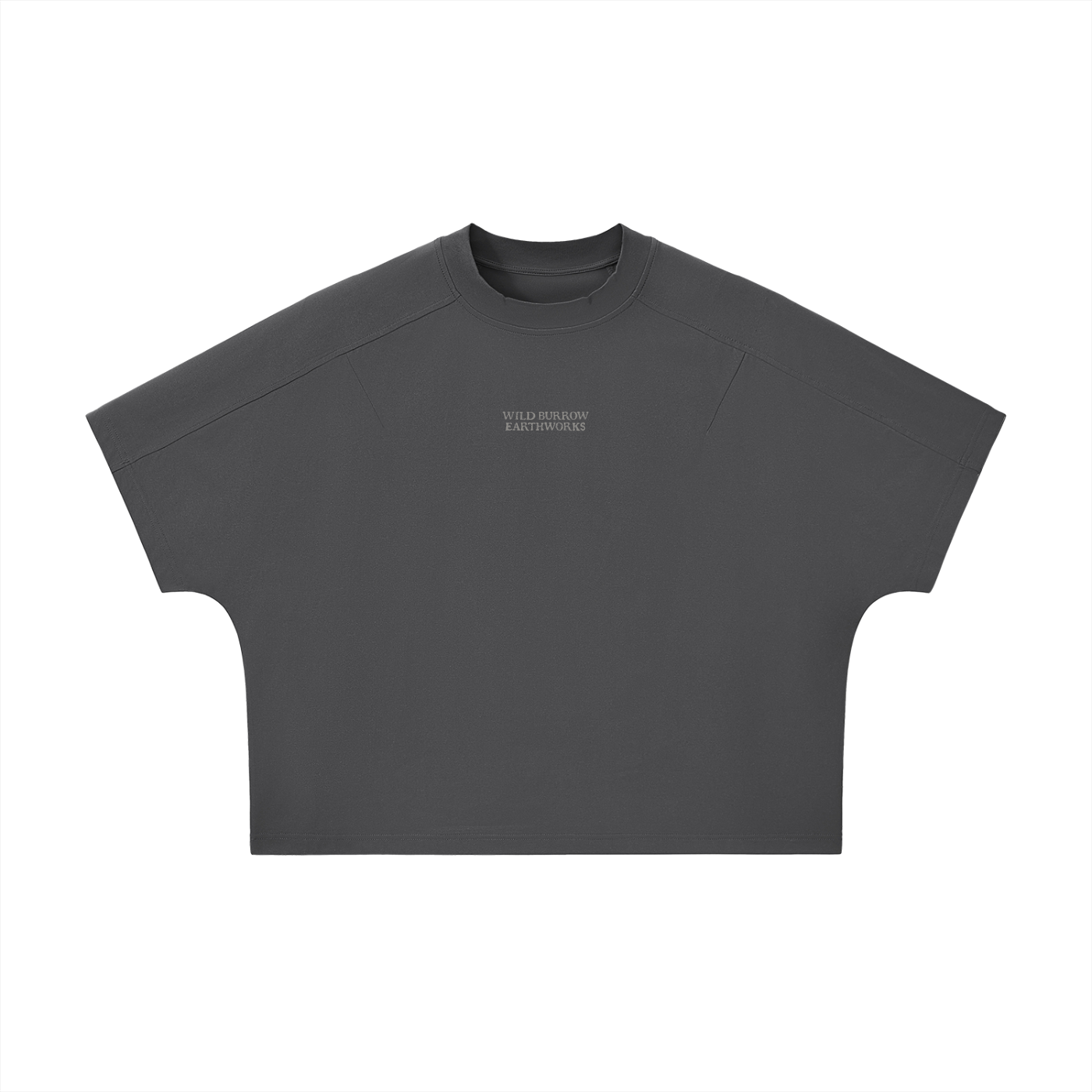 Unisex Boxy Tonal Paneling Gar T-Shirt