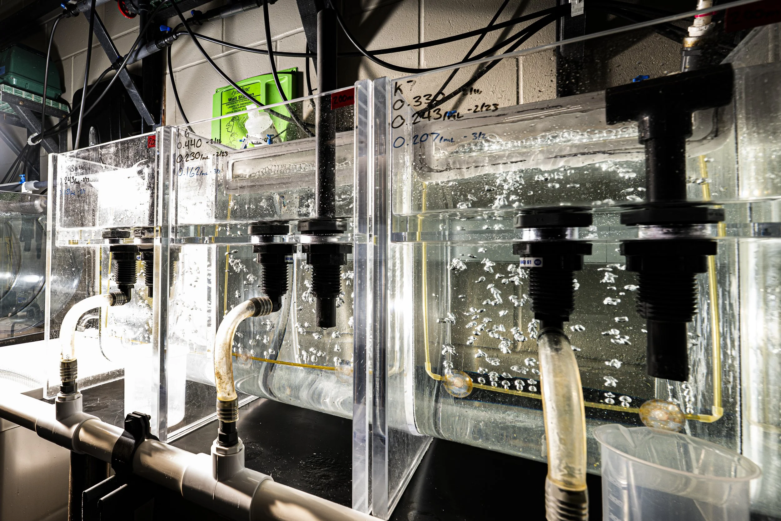 SeaUrchinLab__050.JPG