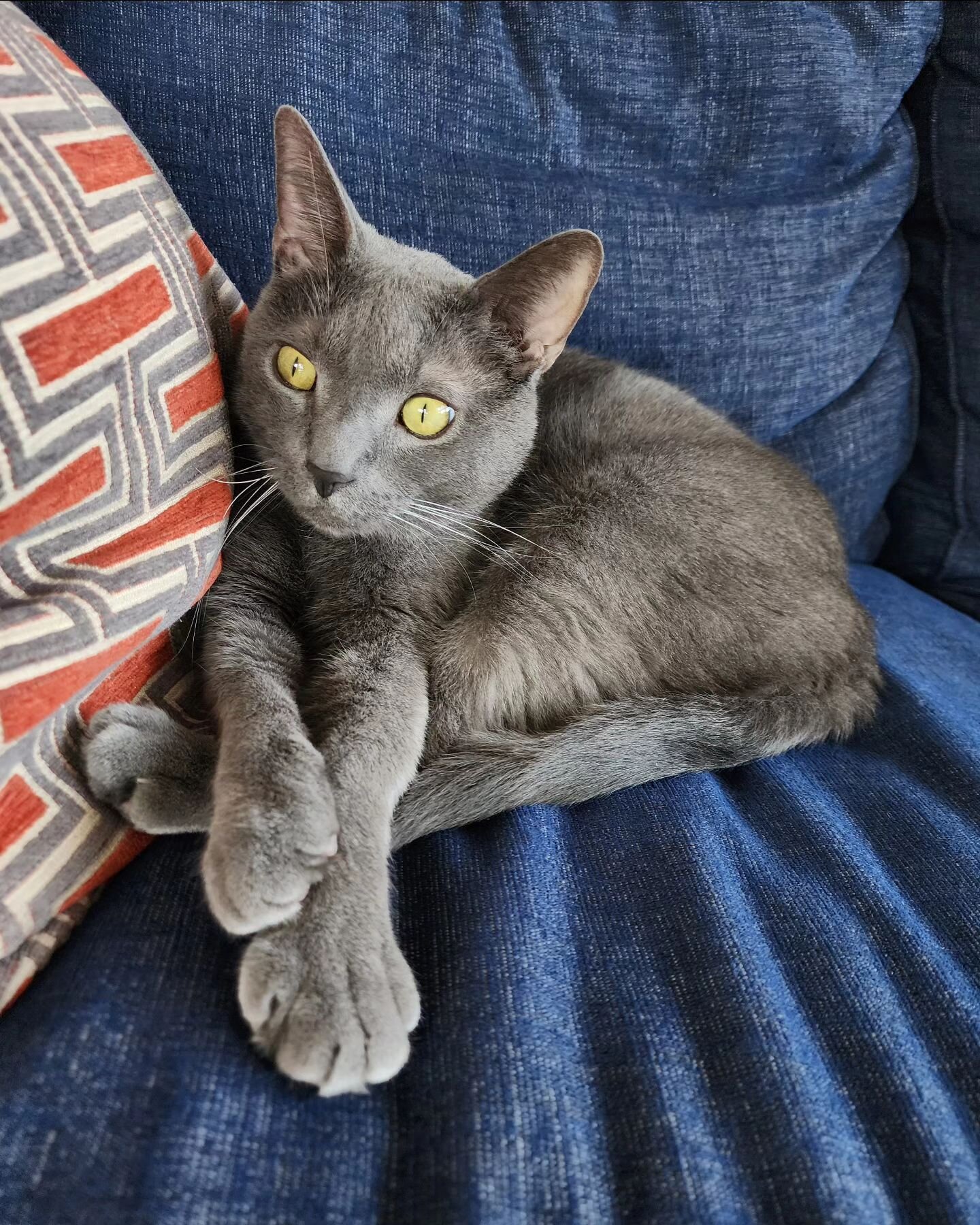 Trey is a little annoyed that we don't get a quiet Monday working from home after a busy weekend.  This boy gets some separation anxiety when Mom is not around.