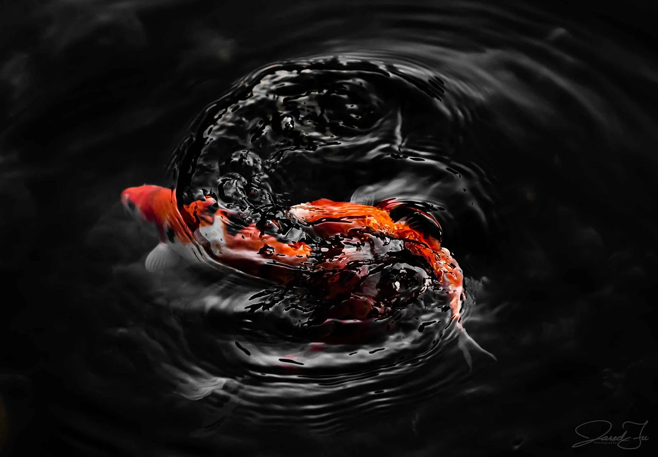 © Jared Fu_Swirl_2020 (Web).jpg