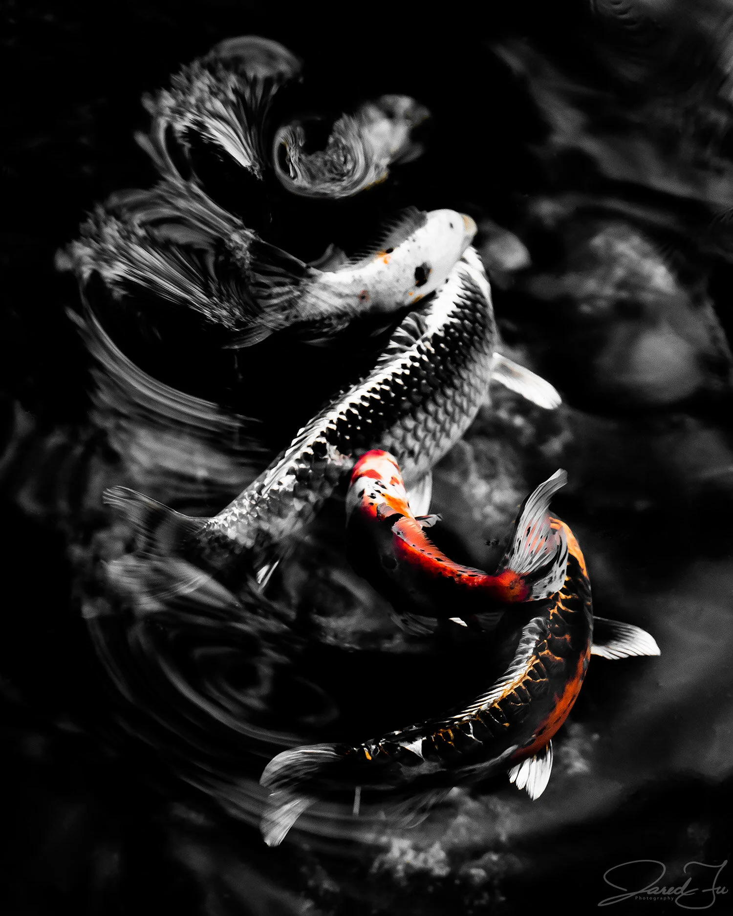 © Jared Fu_Wave_2020 (Web).jpg