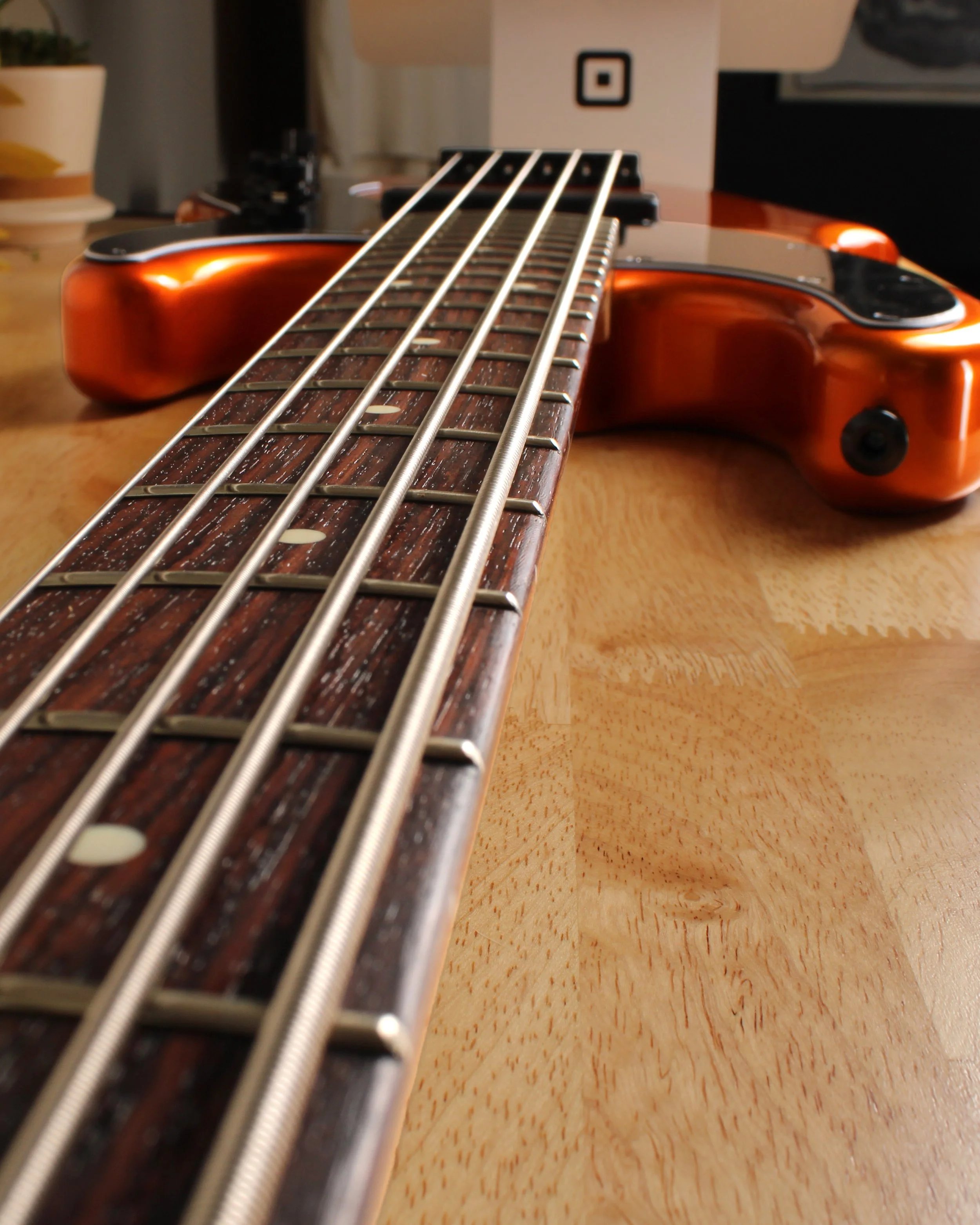 Neck 4x5.jpg