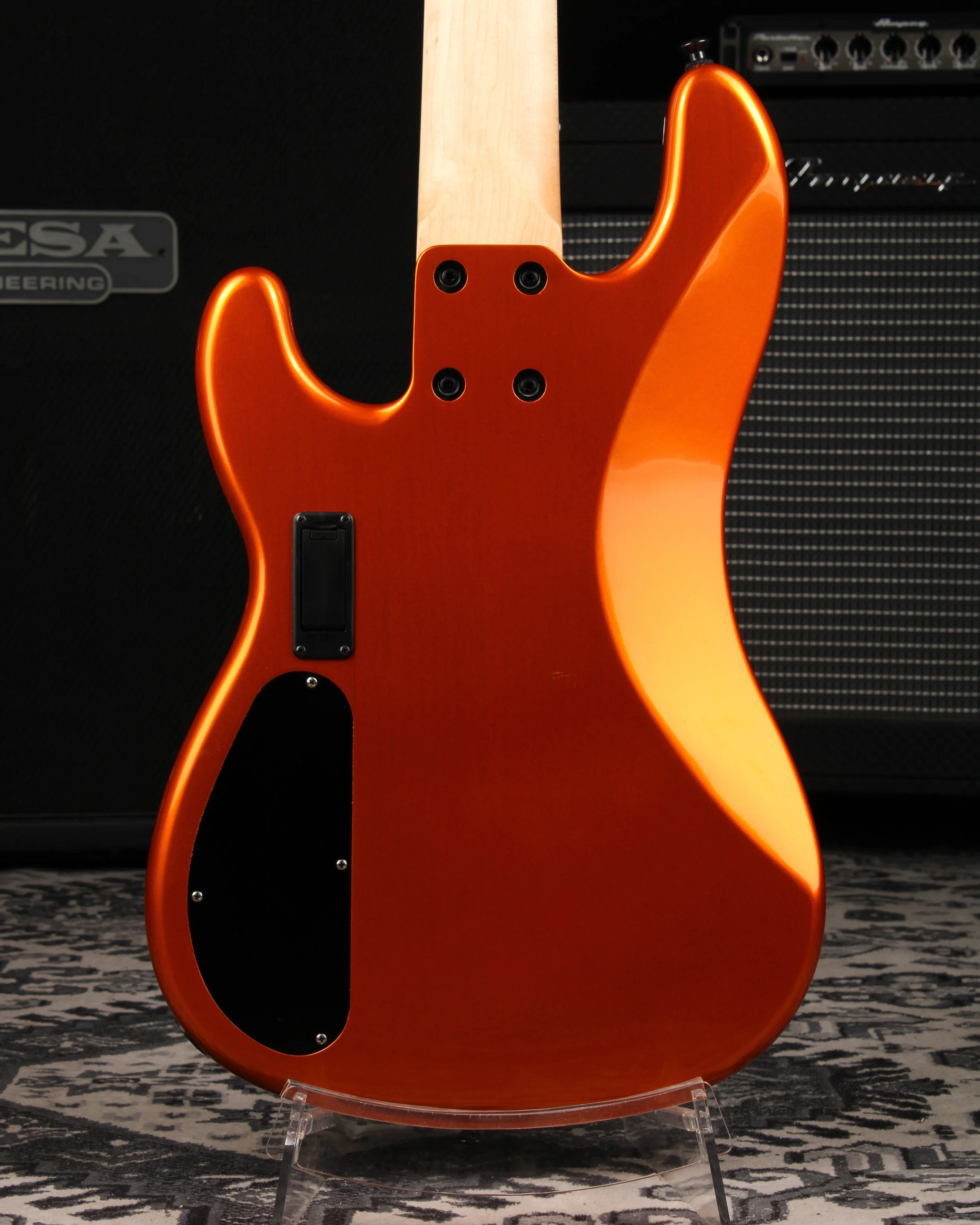 Back Body 4x5.jpg